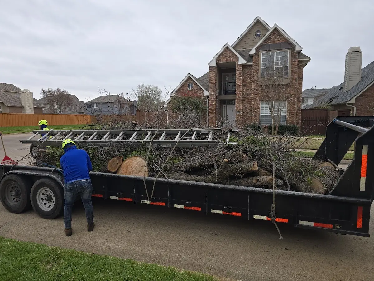 Expert Crown Reduction with proper safety equipment in Church Creek